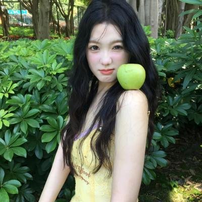 完美的独裁国家